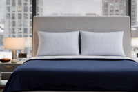 Cool Ice Premium Pillow