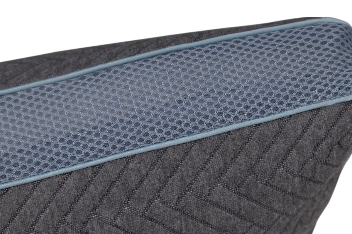 Active Charcoal Premium Pillow